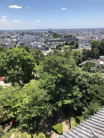 IMG_0649 IMG_0649-e1724636310273